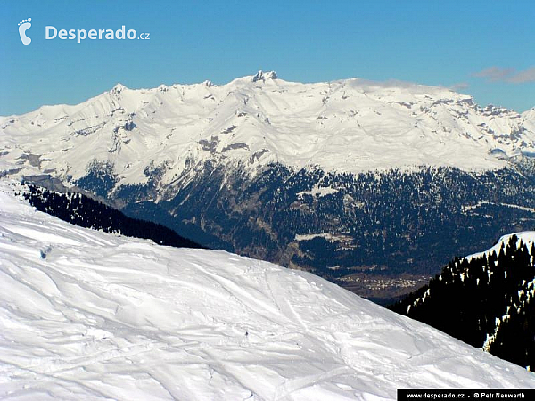 Alpmora Ringel (Švýcarsko)