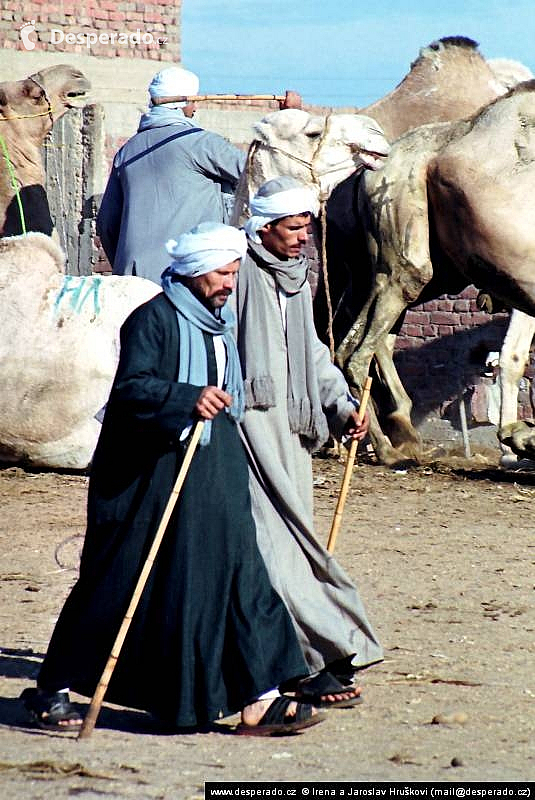 Birkáš - velbloudí trh (Egypt)