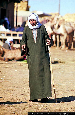Birkáš - velbloudí trh (Egypt)