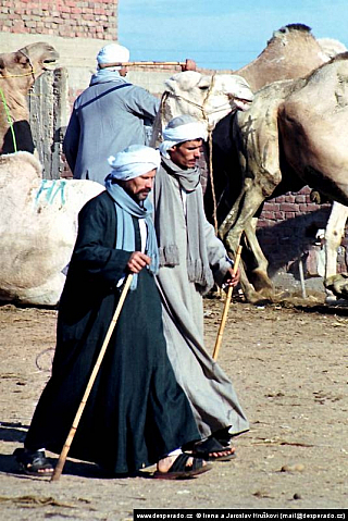 Birkáš - velbloudí trh (Egypt)