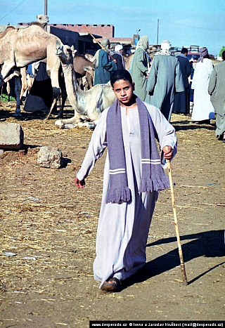 Birkáš - velbloudí trh (Egypt)