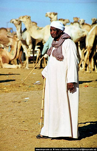 Birkáš - velbloudí trh (Egypt)
