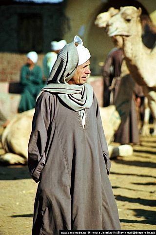 Birkáš - velbloudí trh (Egypt)