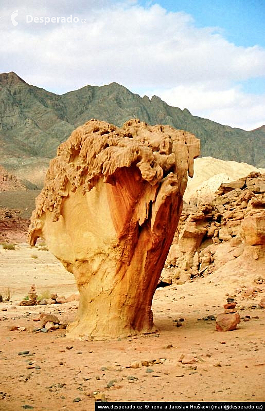Sinajská poušť (Egypt)