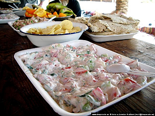 Sinajská poušť (Egypt)