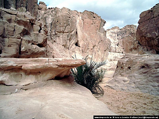 Sinajská poušť (Egypt)