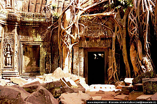 Chrámový komplex Angkor (Kambodža)