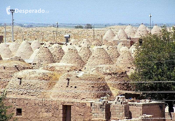 Harran (Turecko)