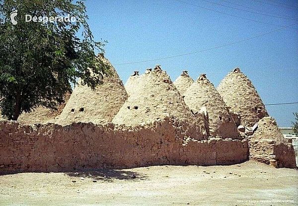 Harran (Turecko)