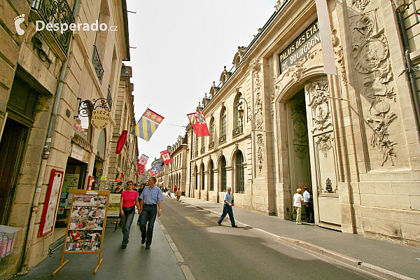 Dijon (Burgundsko-Franche-Comté - Francie)