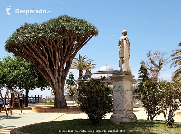 Cadiz (Španělsko)