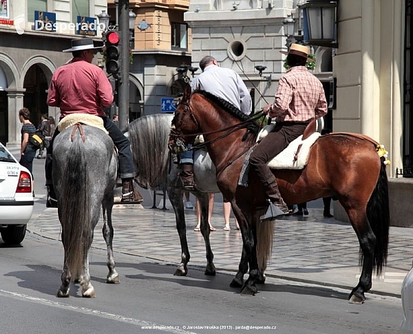 Granada (Španělsko)