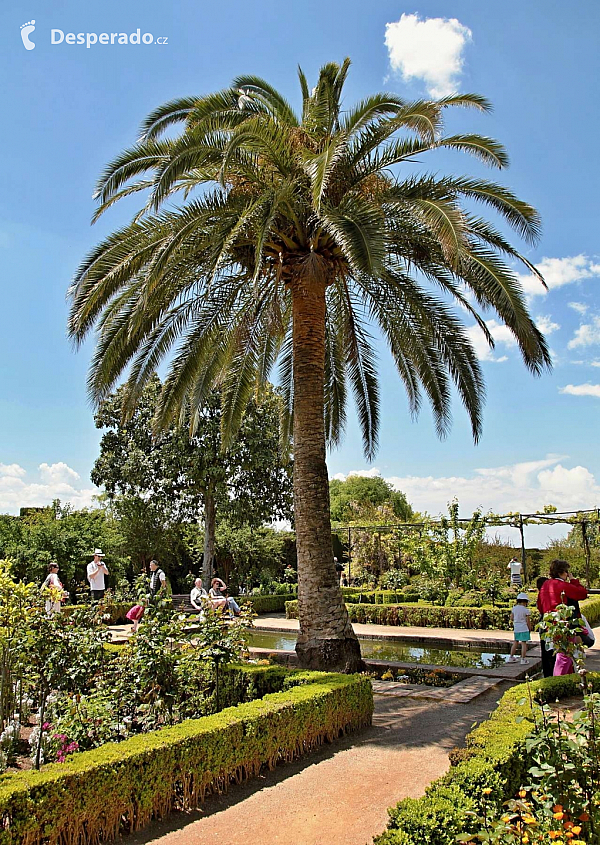 Alhambra - středověký komplex paláců a pevností nad Granadou (Andalusie - Španělsko)