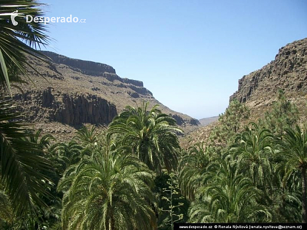 Gran Canaria (Kanárské ostrovy - Španělsko)