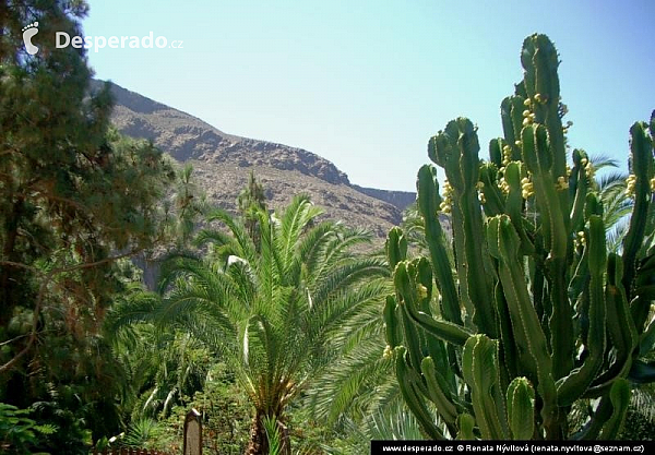 Gran Canaria (Kanárské ostrovy - Španělsko)