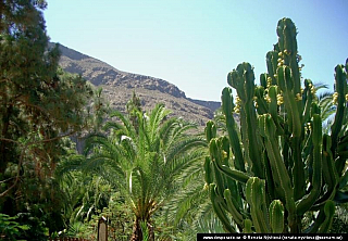 Gran Canaria (Kanárské ostrovy - Španělsko)