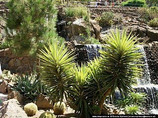 Gran Canaria (Kanárské ostrovy - Španělsko)