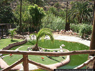 Gran Canaria (Kanárské ostrovy - Španělsko)