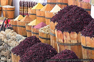 Stará Hurghada (Egypt)