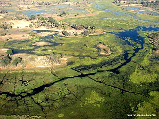 Fotogalerie Botswana