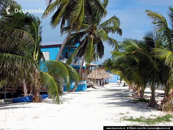 Caye Caulker (Belize)