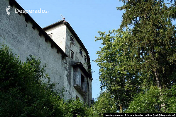 Jezero Bled (Slovinsko)