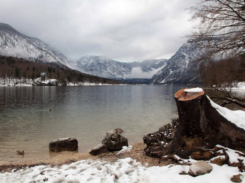 Bohinjské jezero v zimě (Slovinsko)