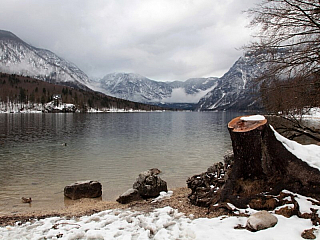 Bohinjské jezero v zimě (video)