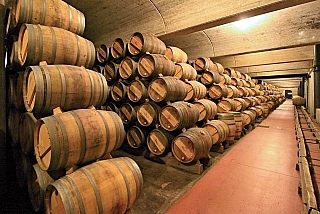 Vinařství Muga v Haro (La Rioja - Španělsko)