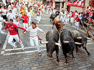 Běh s býky na svátek sv. Fermína v Pamploně (Španělsko)
