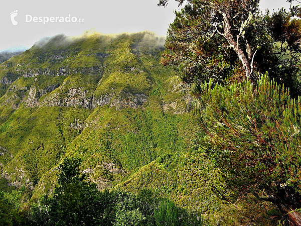 Levada do Risco (ostrov Madeira - Portugalsko)