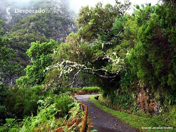 Levada do Risco (ostrov Madeira - Portugalsko)