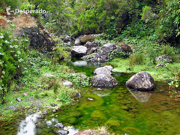 Levada do Risco (ostrov Madeira - Portugalsko)