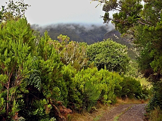 Levada do Risco (ostrov Madeira - Portugalsko)