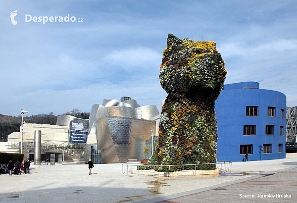 Guggenheim museum v Bilbao (Španělsko)