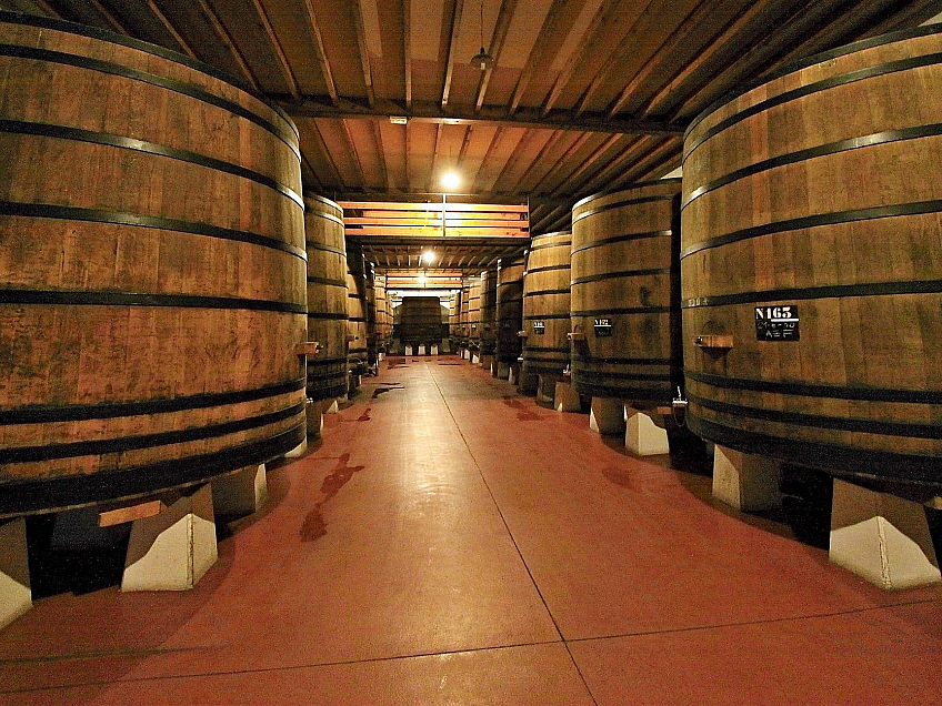 Vinařství Muga v Haro (Španělsko)