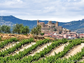 Vinařská provincie La Rioja a její města