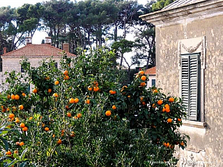 Dubrovník (Chorvatsko)