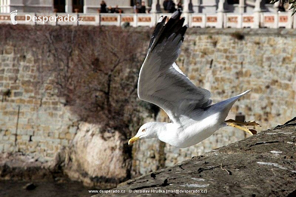 Zámek Il Castello di Miramare v Trieste (Itálie)