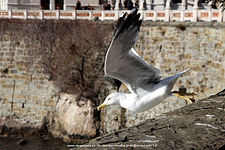 Zámek Il Castello di Miramare v Trieste (Itálie)
