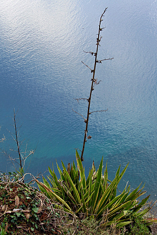 Útes a vyhlídka Cabo Girão (Madeira - Portugalsko)