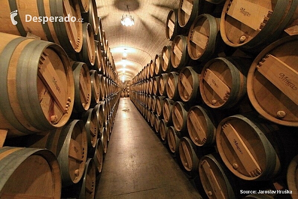 Vinařství Bodegas Muga v Haro (Španělsko)