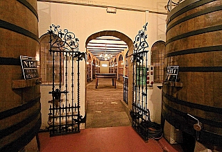 Vinařství Bodegas Muga v Haro (La Rioja - Španělsko)