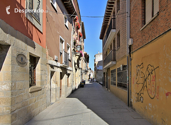 Santo Domingo De La Calzada (Španělsko)