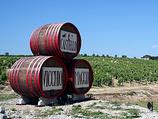 Chianti je krajem slavného vína, olivových hájů a vesniček (Itálie)