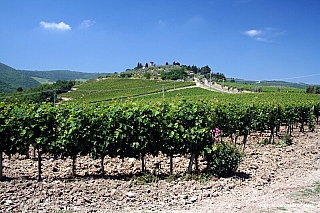 Region Chianti (Itálie)