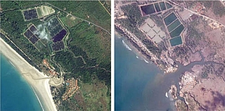 Tsunami pohledem ze satelitu