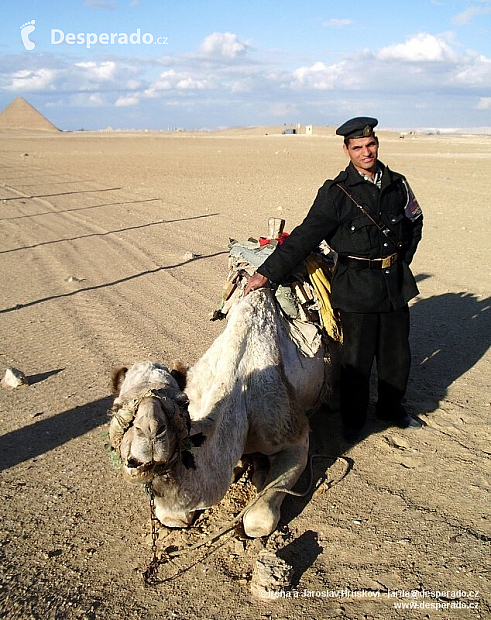 Policista s velbloudem (Egypt)