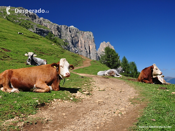 Dolomity (Itálie)