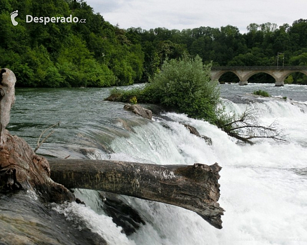 Bodamské jezero (Německo)